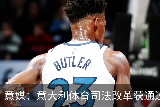意媒：意大利体育司法改革获通过，新体系将使体育总检察院更关键