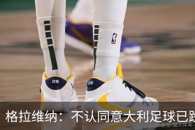 格拉维纳：不认同意大利足球已跌至最低点 对未晋级世界杯失望